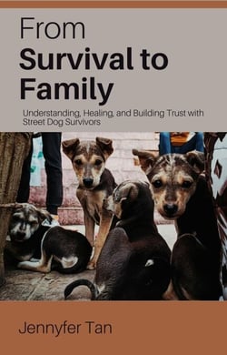 From Survival to Family: Understanding, Healing, and Building Trust with Street Dog Survivors