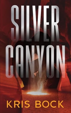 Silver Canyon - Southwest Treasure Hunters, #3
