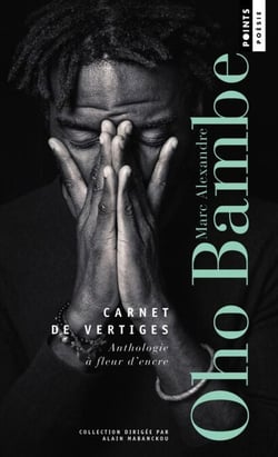 Carnet de vertiges - Anthologie à fleur d'encre