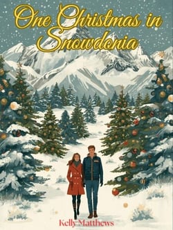 One Christmas in Snowdonia