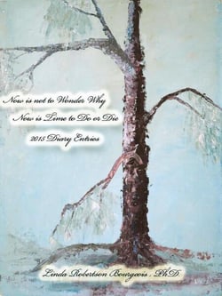 Now is Not to Wonder Why Now is Time to Do or Die 2015 Diary Entries