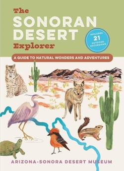 The Sonoran Desert Explorer - A Guide to Natural Wonders and Adventures