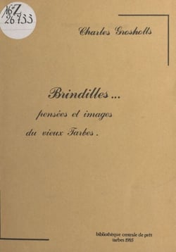 Brindilles : pensées et images du vieux Tarbes