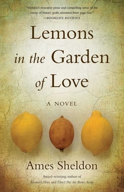  Lemons In The Garden of Love - A Novel