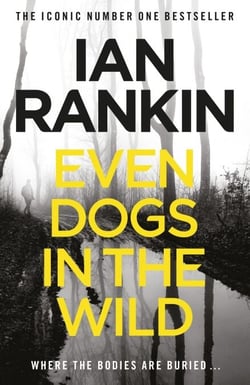 Even Dogs in the Wild - The number one bestselling series that inspired BBC One’s REBUS