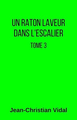 Un raton laveur dans l'escalier