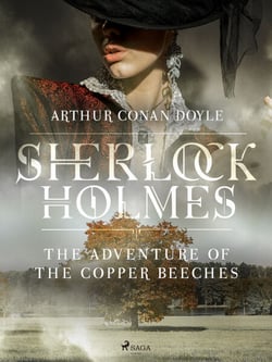 The Adventure of the Copper Beeches