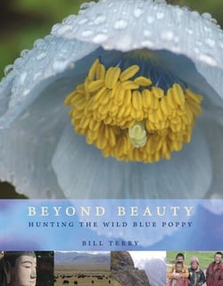 Beyond Beauty - Hunting the Wild Blue Poppy