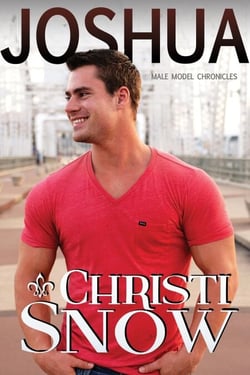 Joshua - Male Model Chronicles, #3