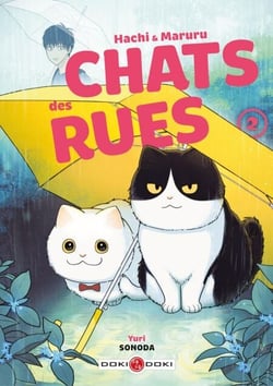 Hachi &amp; Maruru - Chats des rues - Tome 2 - Tome 2