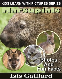 Marsupials Photos and Fun Facts for Kids - Kids Learn With Pictures, #126