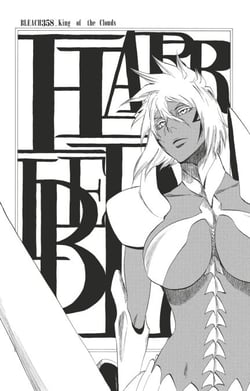 Bleach - T41 - Chapitre 358 - King of the Clouds