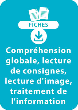 Lecture CE1 - 2. Compréhension globale, lecture de consignes, lecture d'image, traitement de l'information - Un lot de 12 fiches à télécharger