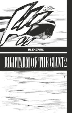 Bleach - T29 - Chapitre 260 - RIGHTARM OF THE GIANT2