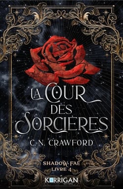 Shadow Fae T4 - La cour des sorcières