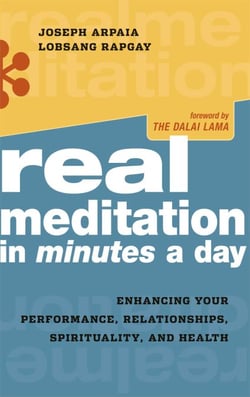 Real Meditation in Minutes a Day - Enhancing Your Performance, Relationships, Spirituality, and Health