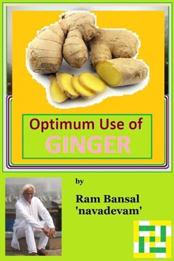 Optimum Use of Ginger