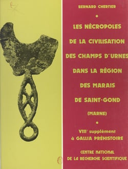Les nécropoles de la civilisation des champs d'urnes dans la région des marais de Saint-Gond (Marne)