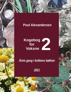 Kogebog for voksne 2 - Årets gang i kokkens køkken