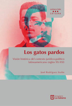 Los gatos pardos - Visión histórica del contexto jurídico-político latinoamericano (siglos XX- XXI)