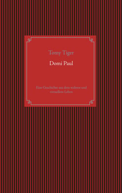 Domi Paul - Eine Geschichte aus dem wahren und virtuellem Leben
