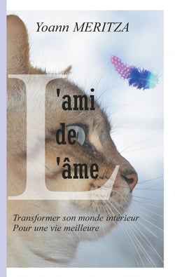L'ami de l'âme - Transformer son monde intérieur pour une vie meilleure