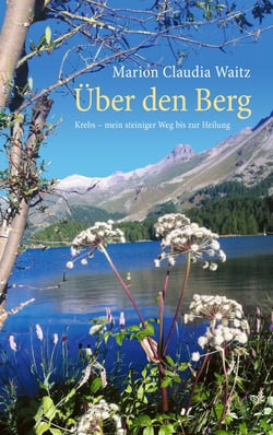 Über den Berg - Krebs - mein steiniger Weg bis zur Heilung