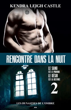 Rencontre dans la nuit - Les dynasties de l’ombre