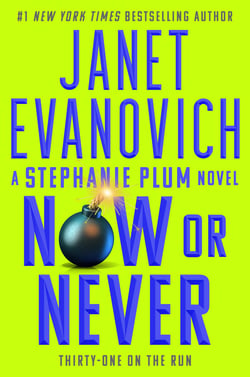 Now or Never - Stephanie Plum 31
