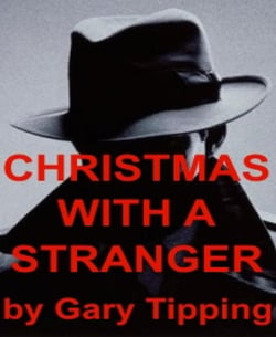 Christmas With A Stranger
