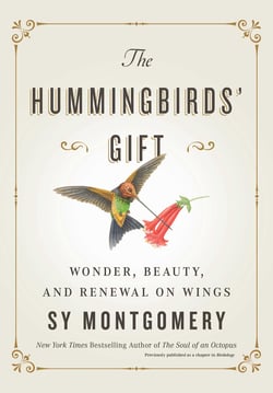 The Hummingbirds' Gift - Wonder, Beauty, and Renewal on Wings