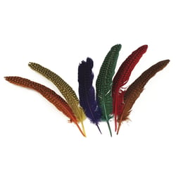 12 plumes à pois - 17/22cm