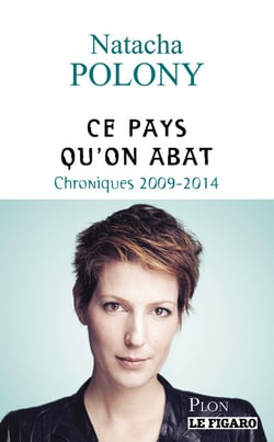 Ce pays qu'on abat - chroniques 2009 - 2014
