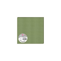 Lot 25 cartes simples 160 x 160 mm Clairefontaine - Sauge - Pollen