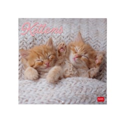 Calendrier mural 2026 Legami - Kittens - 30 x 29 cm