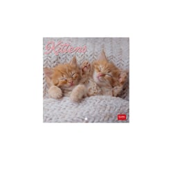 Calendrier mural 2026 Legami - Kittens - 18 x 18 cm
