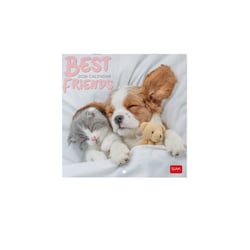 Calendrier mural 2026 Legami - Best Friends - 18 x 18 cm