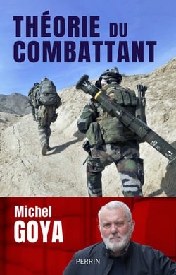 Théorie du combattant