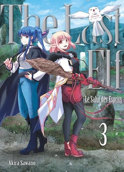 The last elf, le salut des esprits Tome 3