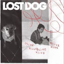 Lost Dog