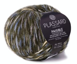Pelote de fil à tricoter - Plassard - Paisible - Sapin 79