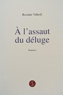 A l'assaut du déluge