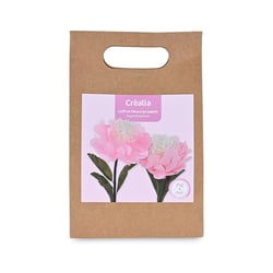 Coffret création de fleurs en papier crépon - Pivoine - Crealia