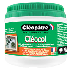 Colle Vinylique Cleocol 500G Colle Vinylique Cleocol 500G
