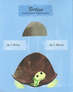 Le Lievre Et Tortue - Le Coin Des Histoires