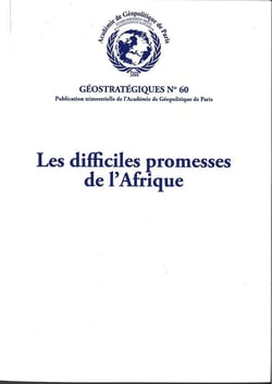 Les difficiles promesses de l'Afrique : Géostratégiques N°60
