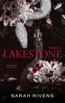 Occasion - Lakestone Tome 2
