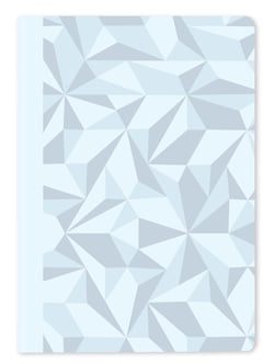 Carnet Caran d'Ache - Bleu polaire - A5 21 x 15 cm - Noël - Pages lignées