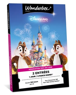 Coffret cadeau Wonderbox - Disneyland Paris 1 jour pour deux personnes