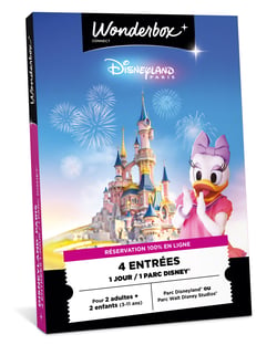 Coffret cadeau Wonderbox - Disneyland Paris en famille - 2 adultes + 2 enfants